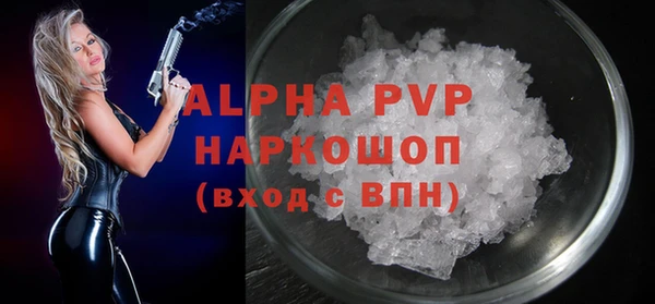 стафф Алзамай