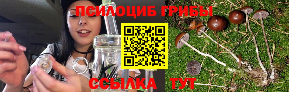 Еманжелинск  Галлюциногенные грибы мухоморы  Вход с VPN 